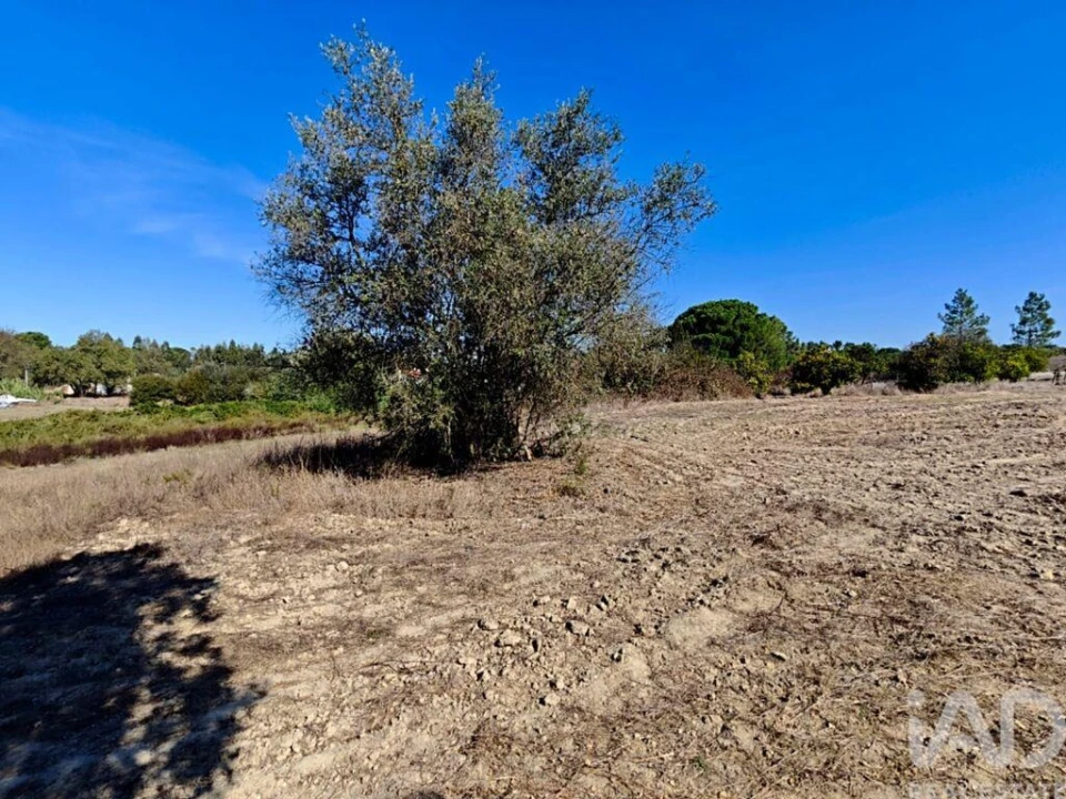 Terreno para Venda em Coruche, Fajarda e Erra Foto 9