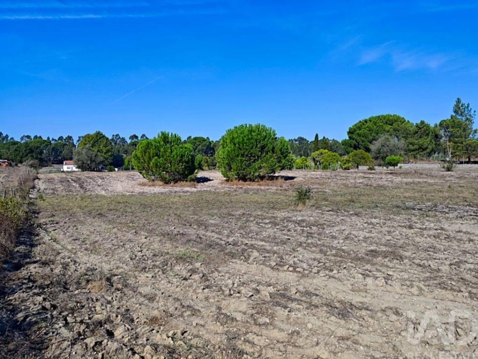 Terreno para Venda em Coruche, Fajarda e Erra Foto 2