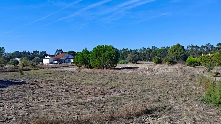 Terreno para Venda em Coruche, Fajarda e Erra