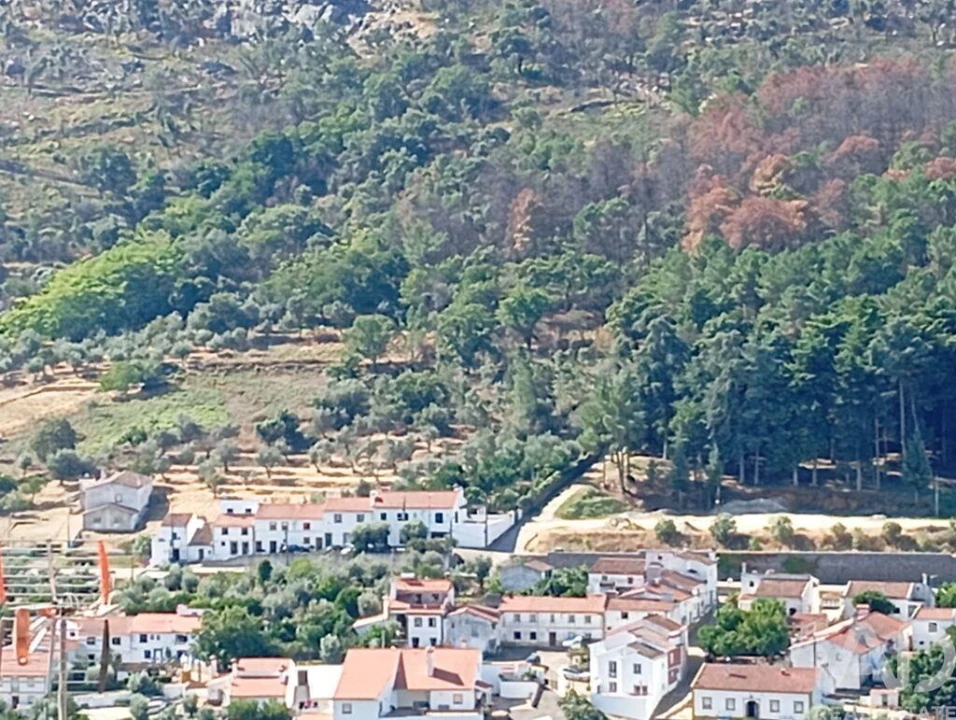 Moradia T2 para Venda em Santiago Maior Foto 34