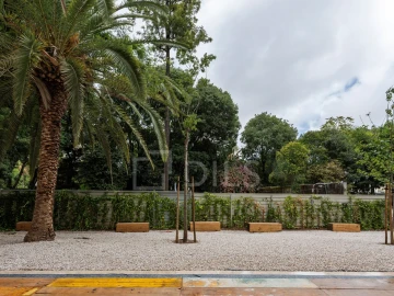 Loja para Arrendamento em Santo António