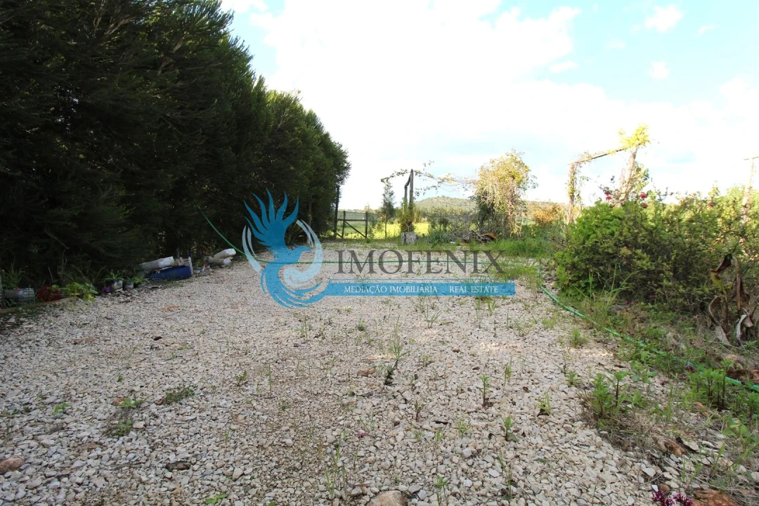 Terreno para Venda em São Bartolomeu de Messines Foto 7