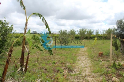 Terreno para Venda em São Bartolomeu de Messines