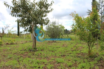 Terreno para Venda em São Bartolomeu de Messines