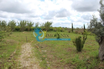 Terreno para Venda em São Bartolomeu de Messines