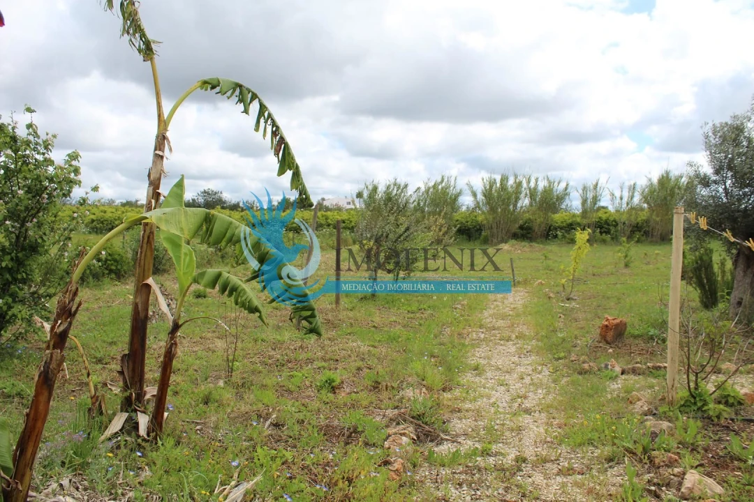 Terreno para Venda em São Bartolomeu de Messines Foto 23