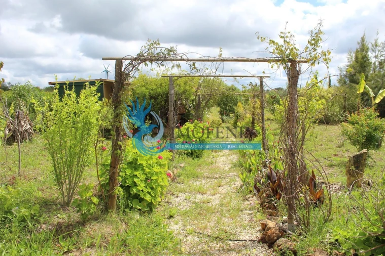 Terreno para Venda em São Bartolomeu de Messines Foto 19