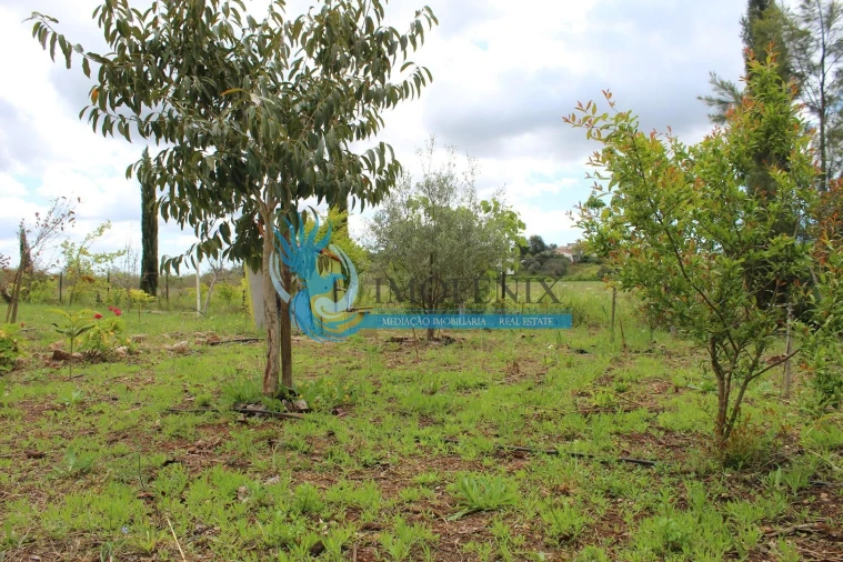 Terreno para Venda em São Bartolomeu de Messines Foto 27