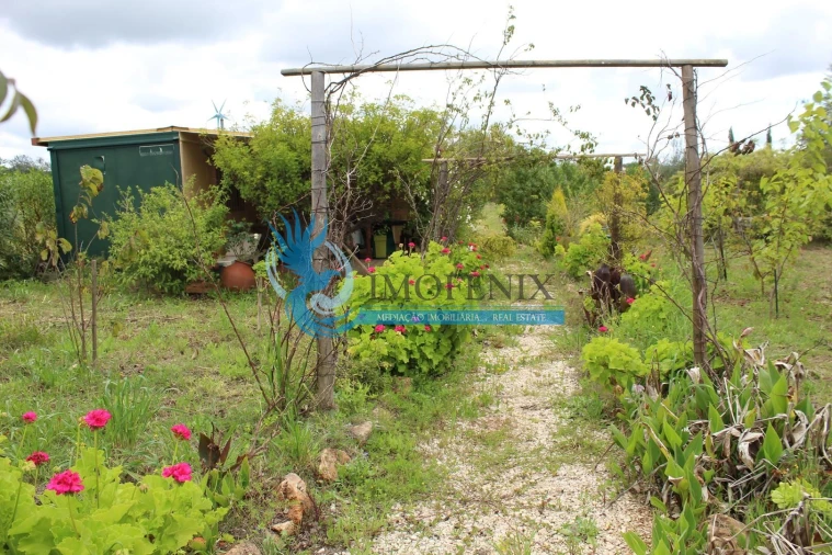 Terreno para Venda em São Bartolomeu de Messines Foto 20