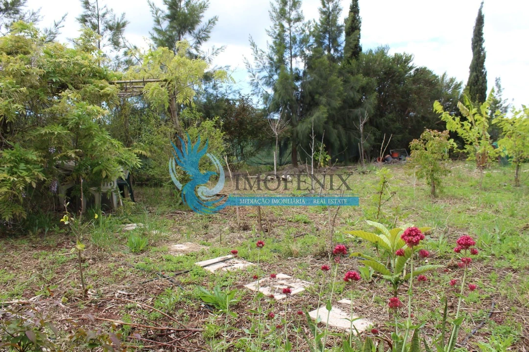 Terreno para Venda em São Bartolomeu de Messines Foto 28