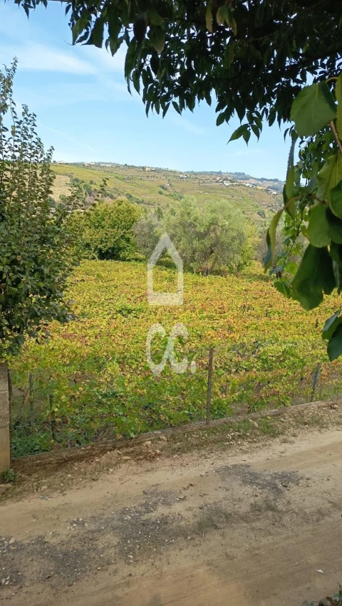 Terreno para Venda em Cambres