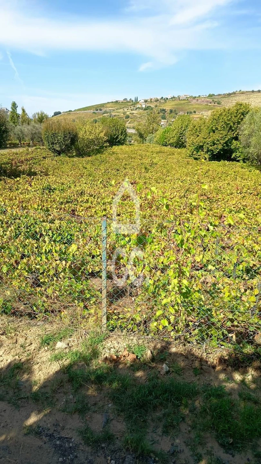Terreno para Venda em Cambres Foto 8