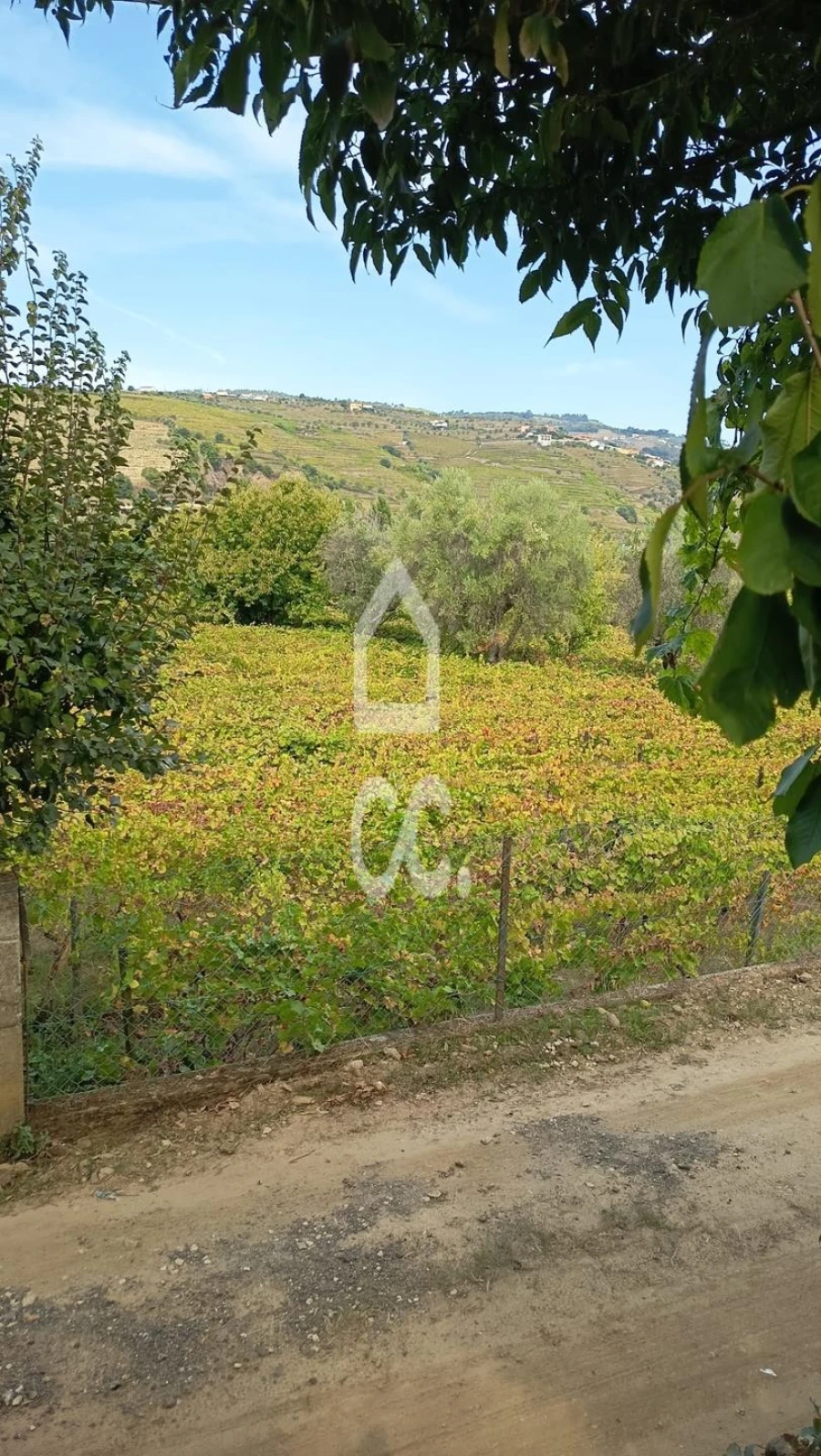Terreno para Venda em Cambres Foto 5