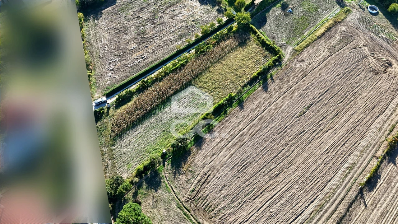 Terreno para Venda em Santa Maria Maior Foto 9