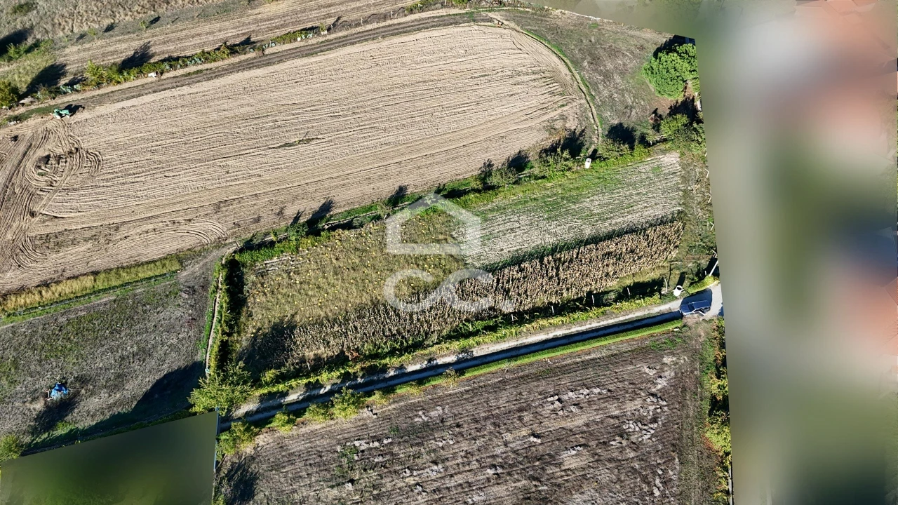 Terreno para Venda em Santa Maria Maior Foto 21