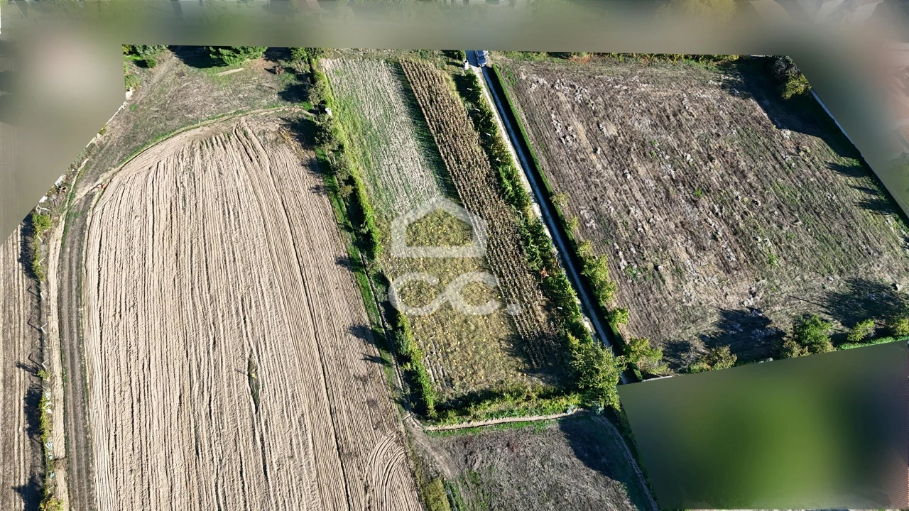 Terreno para Venda em Santa Maria Maior Foto 11