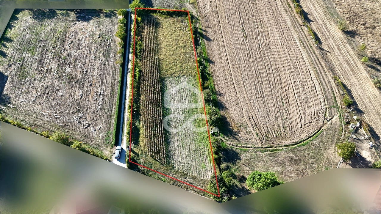 Terreno para Venda em Santa Maria Maior Foto 1