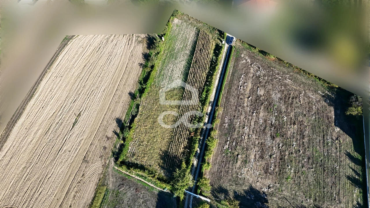 Terreno para Venda em Santa Maria Maior Foto 6