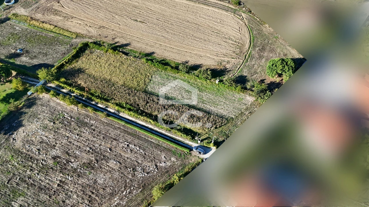 Terreno para Venda em Santa Maria Maior Foto 13