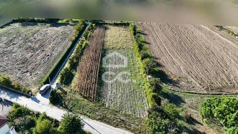 Terreno para Venda em Santa Maria Maior