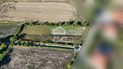 Terreno para Venda em Santa Maria Maior