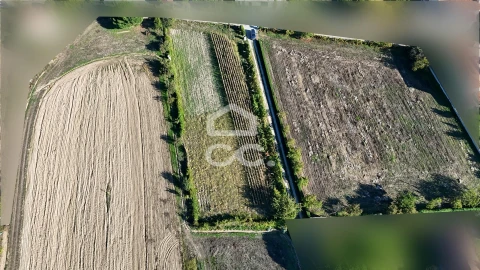Terreno para Venda em Santa Maria Maior