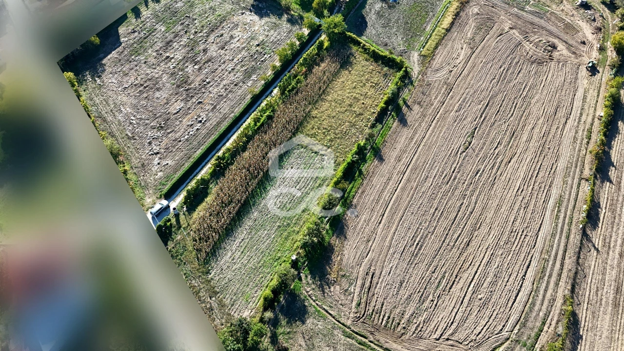 Terreno para Venda em Santa Maria Maior Foto 14