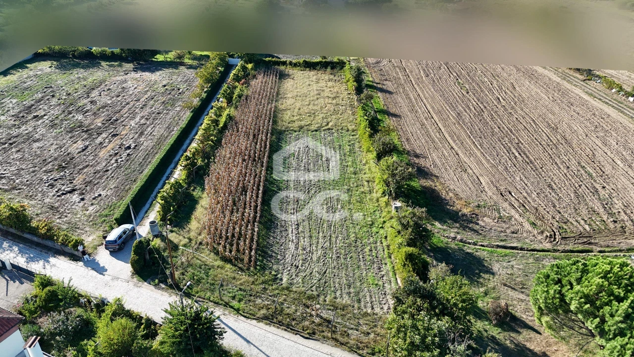 Terreno para Venda em Santa Maria Maior Foto 23