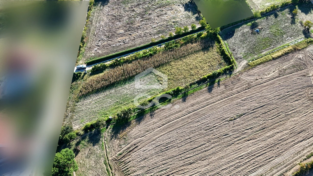 Terreno para Venda em Santa Maria Maior Foto 18