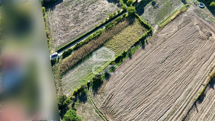 Terreno para Venda em Santa Maria Maior Foto 9