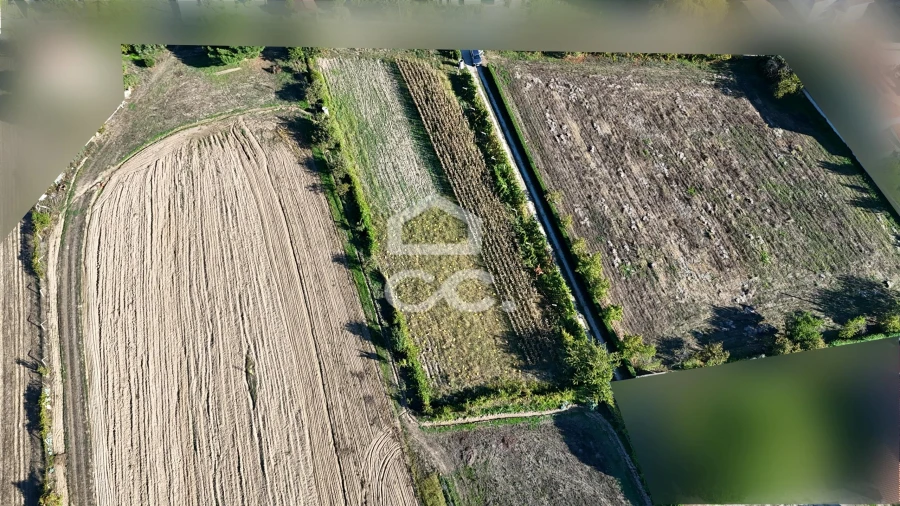 Terreno para Venda em Santa Maria Maior Foto 11
