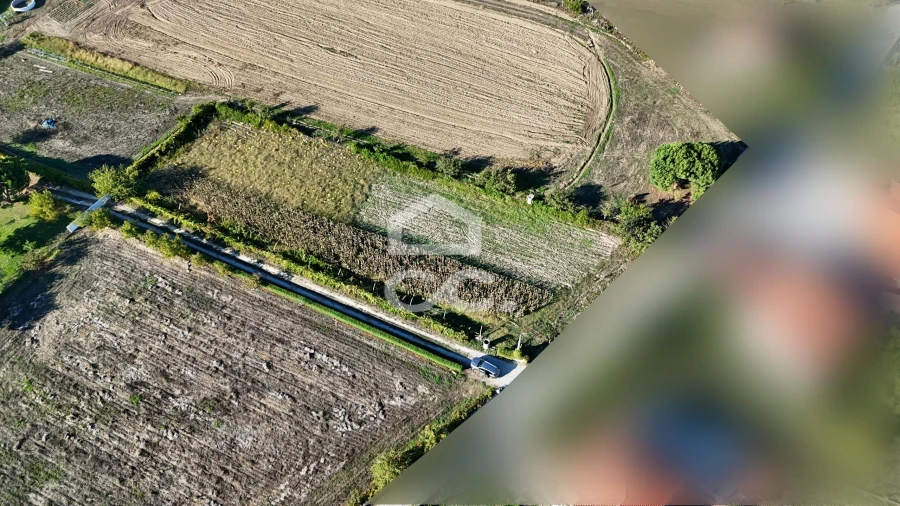 Terreno para Venda em Santa Maria Maior Foto 13