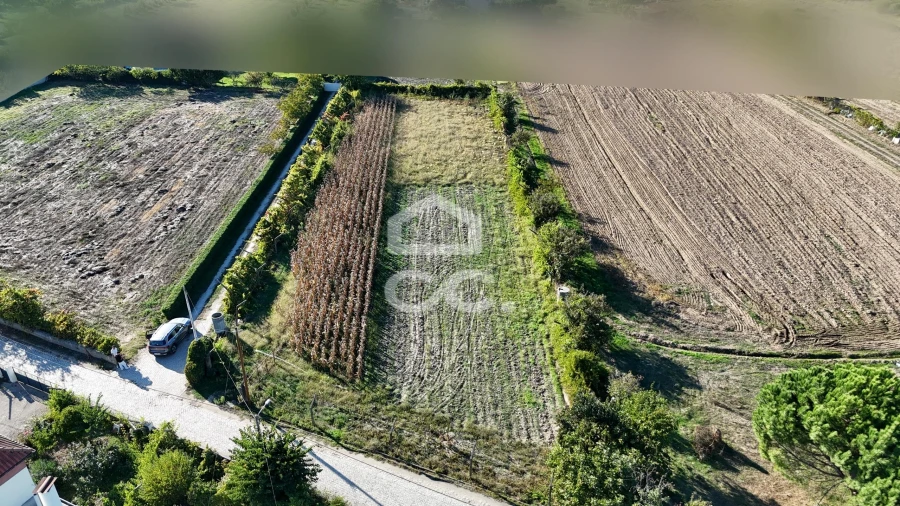 Terreno para Venda em Santa Maria Maior Foto 23