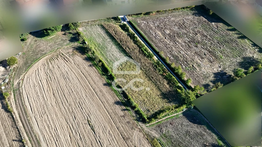 Terreno para Venda em Santa Maria Maior Foto 16
