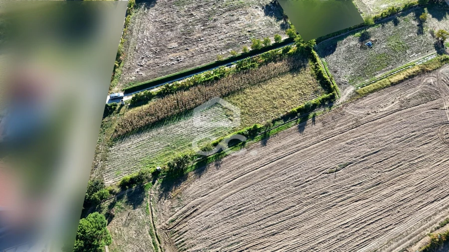 Terreno para Venda em Santa Maria Maior Foto 18