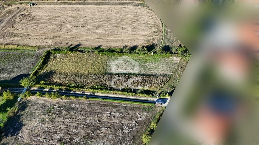 Terreno para Venda em Santa Maria Maior Foto 7