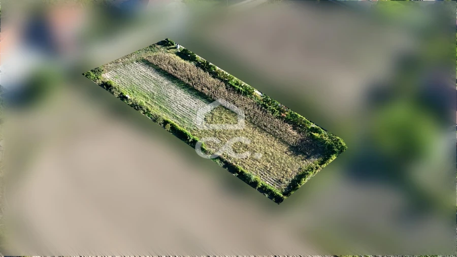 Terreno para Venda em Santa Maria Maior Foto 5