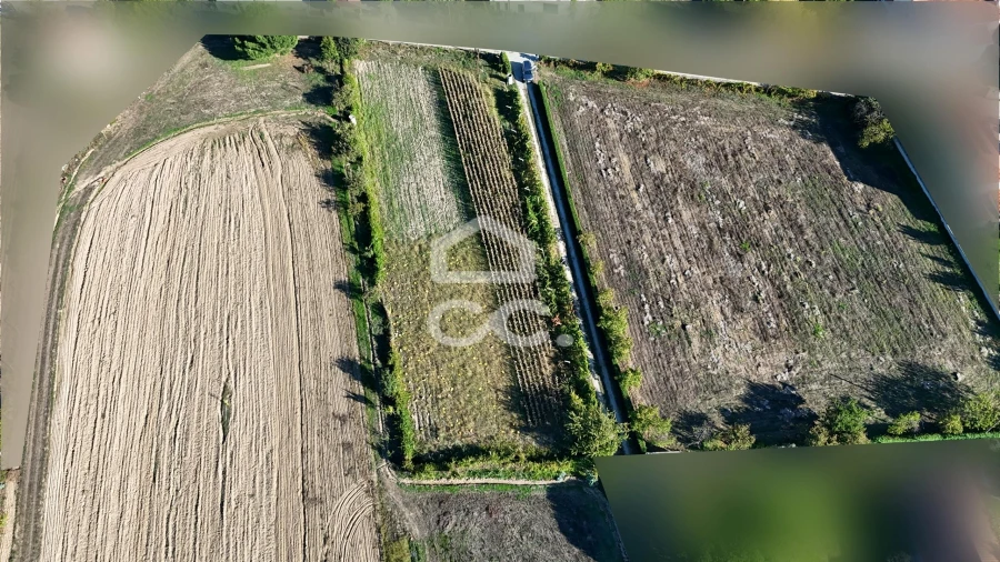 Terreno para Venda em Santa Maria Maior Foto 20