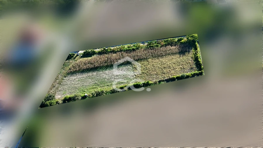 Terreno para Venda em Santa Maria Maior Foto 4
