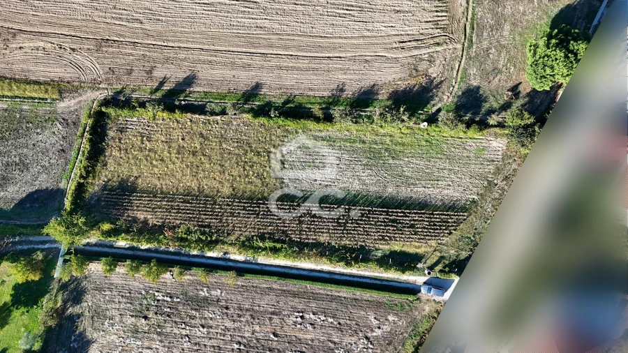 Terreno para Venda em Santa Maria Maior Foto 8