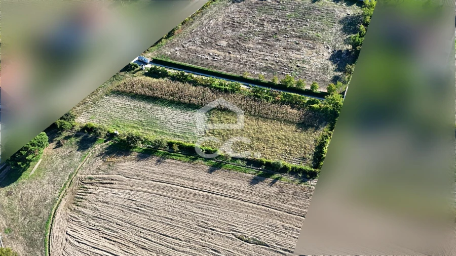 Terreno para Venda em Santa Maria Maior Foto 10