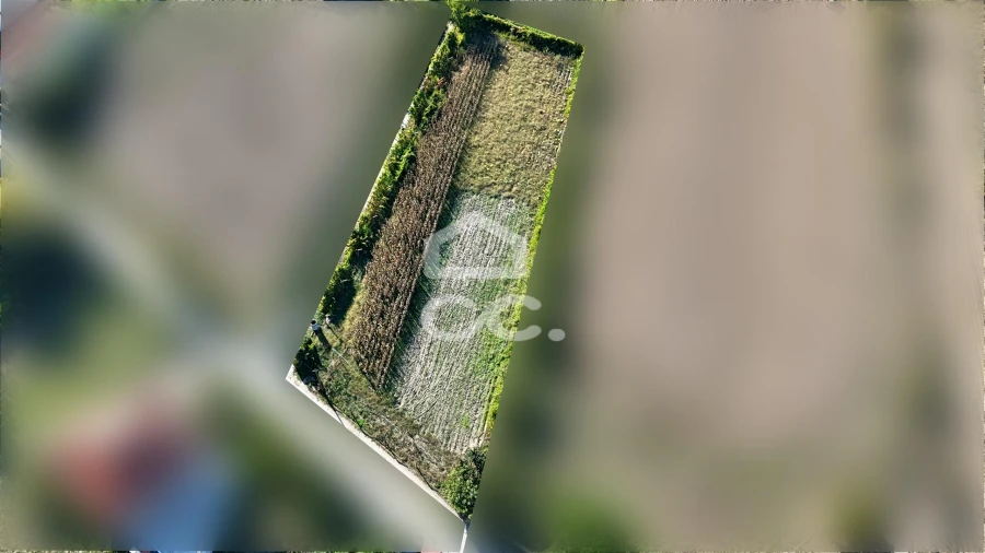 Terreno para Venda em Santa Maria Maior Foto 3