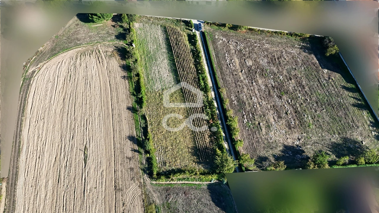 Terreno para Venda em Santa Maria Maior Foto 20