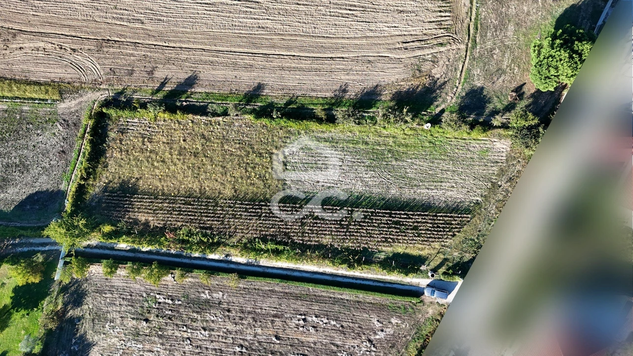Terreno para Venda em Santa Maria Maior Foto 8