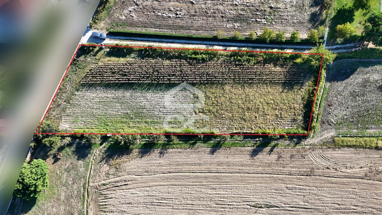 Terreno para Venda em Santa Maria Maior Foto 2