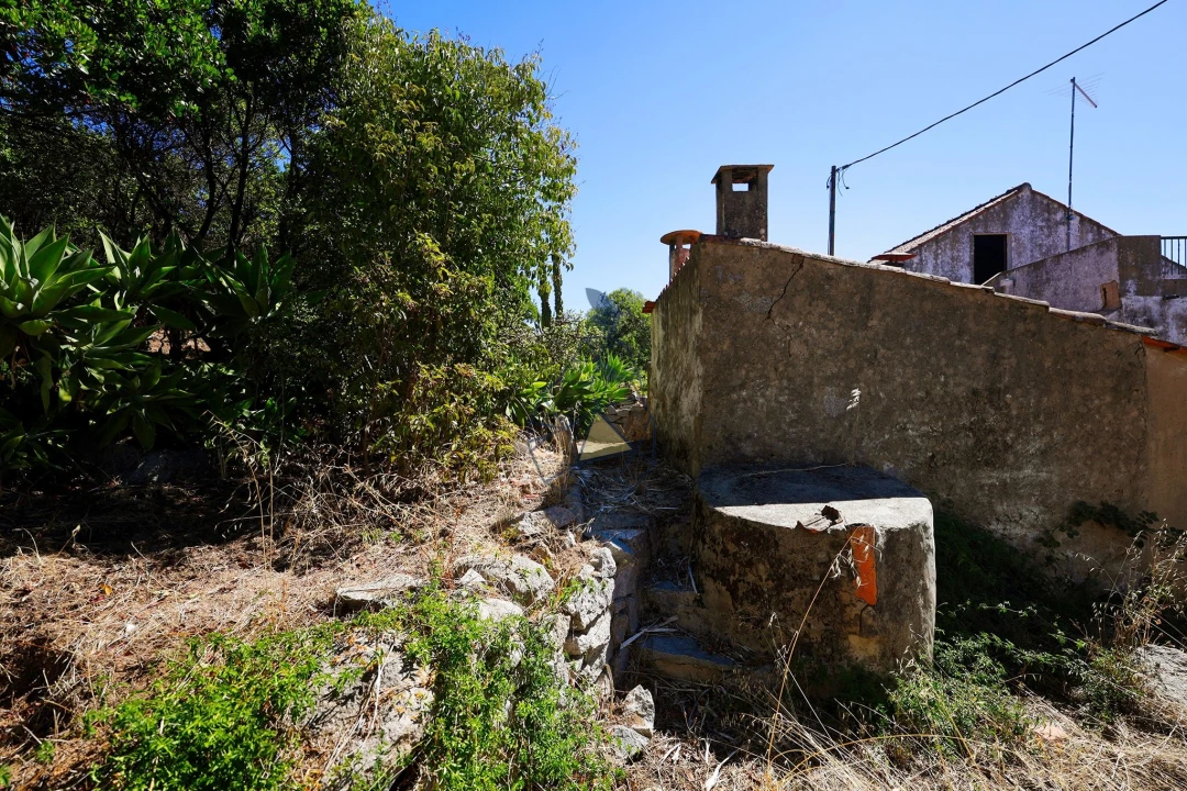 Quinta T3 para Venda em Monchique Foto 37