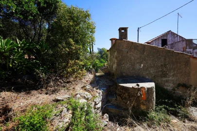 Quinta T3 para Venda em Monchique