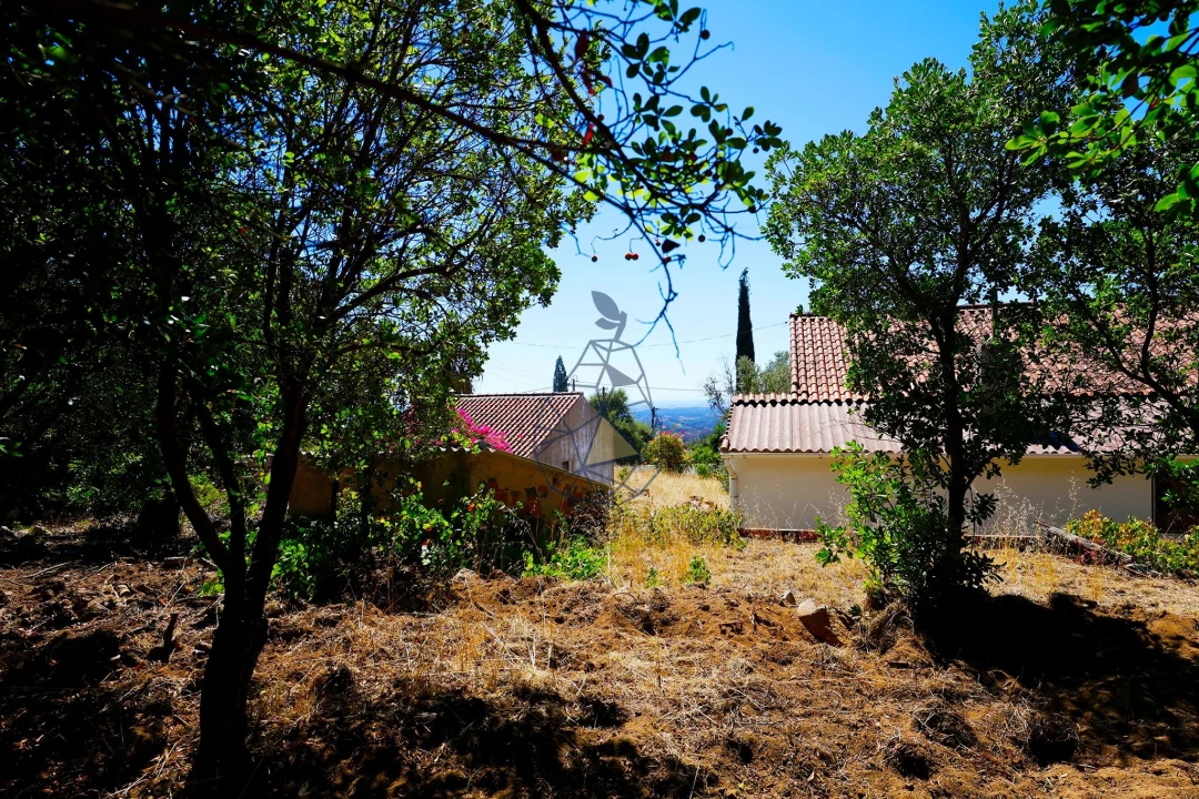 Quinta T3 para Venda em Monchique Foto 50
