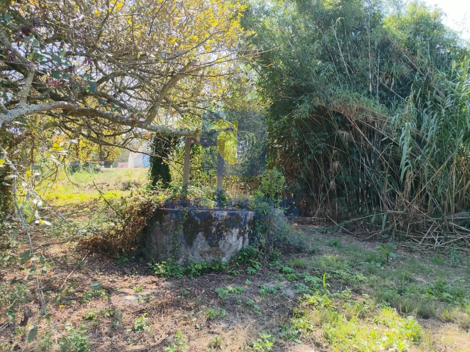 Terreno para Venda em Tornada e Salir do Porto Foto 5