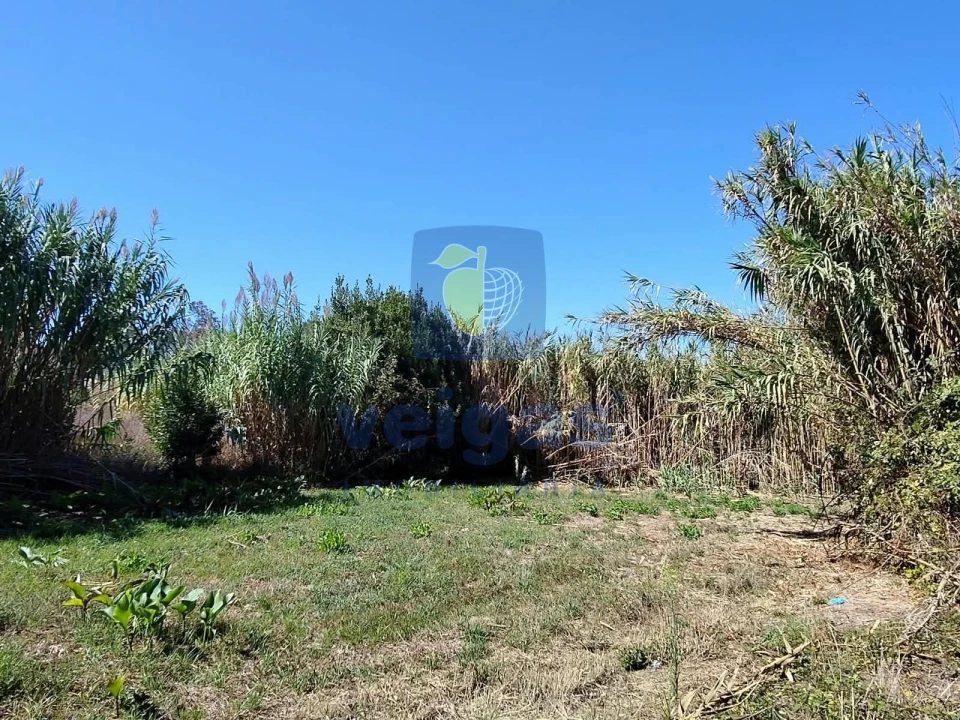 Terreno para Venda em Tornada e Salir do Porto Foto 1
